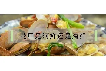 花甲是河鲜还是海鲜