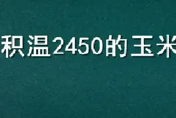 积温2450的玉米品种