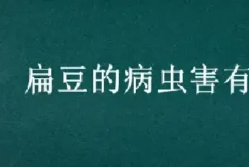 扁豆的病虫害有哪些