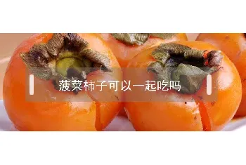 菠菜柿子可以一起吃吗