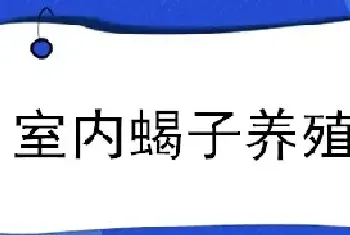 室内蝎子养殖技术