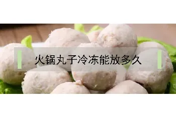 火锅丸子冷冻能放多久