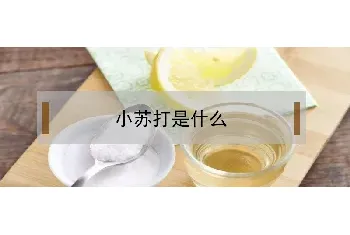 小苏打是什么