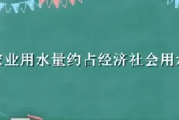 农业用水量约占经济社会用水总量的多少