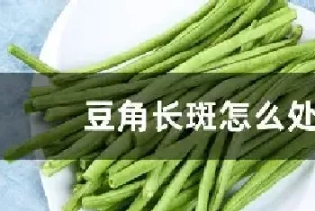 豆角长斑怎么处理