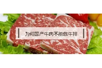 为何国产牛肉不能做牛排