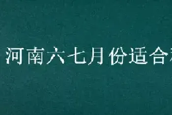 河南六七月份适合种什么