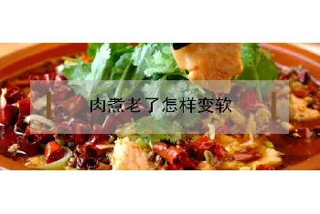 肉煮老了怎样变软