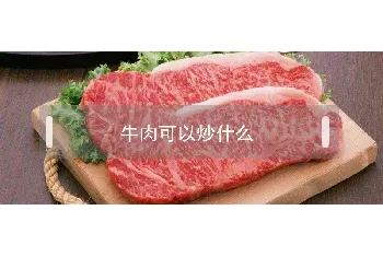 牛肉可以炒什么