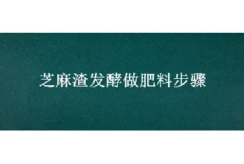 芝麻渣发酵做肥料步骤