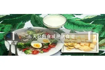 五天轻断食减肥法食谱