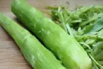 千金菜是什么菜?千金菜的功效与作用