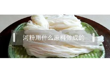 河粉用什么原料做成的