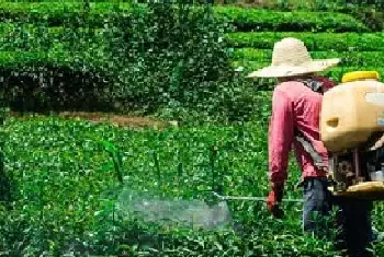 专治死苗烂根的特效药