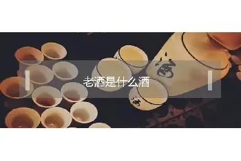 老酒是什么酒？好喝吗