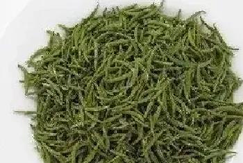 宝华玉笋茶的功效与作用