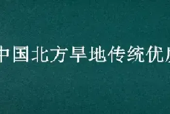 中国北方旱地传统优质绿肥是