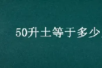 50升土等于多少斤土