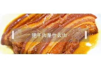 把子肉是什么肉