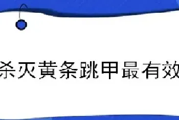 杀灭黄条跳甲最有效的方法