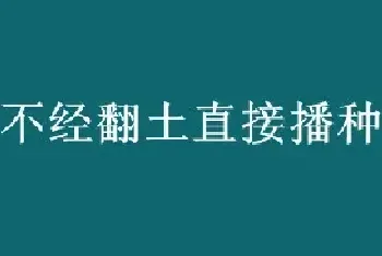 不经翻土直接播种叫什么