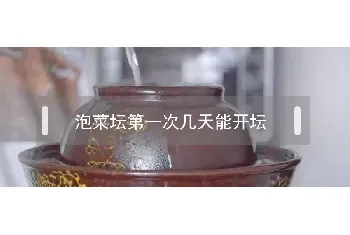 泡菜坛第一次几天能开坛