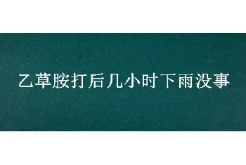 乙草胺打后几小时下雨没事