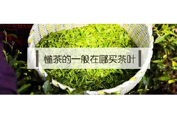 懂茶的一般在哪买茶叶