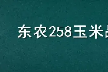 东农258玉米品种