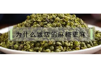 为什么饭店的麻椒更麻