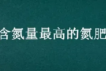 含氮量最高的氮肥是什么