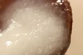 雪脂莲蜜的真假怎么鉴别？