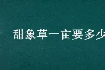 甜象草一亩要多少种子