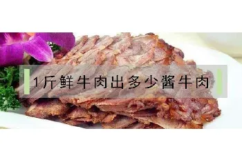 1斤鲜牛肉出多少酱牛肉