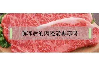 解冻后的肉还能再冻吗