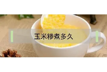 玉米糁煮多久