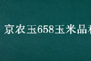 京农玉658玉米品种介绍