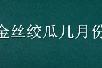 金丝绞瓜几月份种植