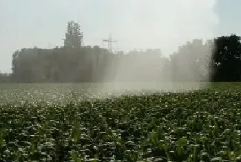 植物什么时候浇水好