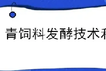 青饲料发酵技术和配料