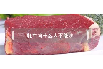 牦牛肉什么人不能吃