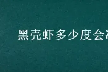 黑壳虾多少度会冻死