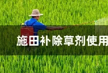 施田补除草剂使用方法