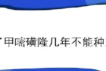 打了甲嘧磺隆几年不能种东西