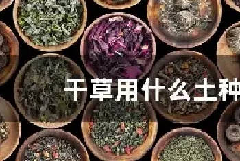 干草用什么土种植