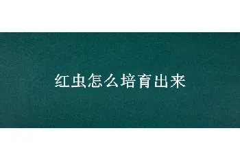 红虫怎么培育出来