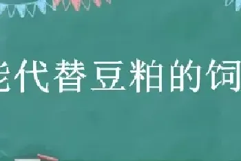 能代替豆粕的饲料配方