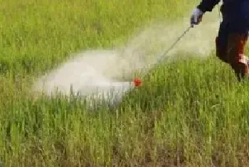 荣芽单氰胺注意事项一瓶需要兑多少斤水