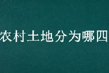 农村土地分为哪四种性质