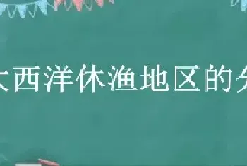 大西洋休渔地区的分布特征